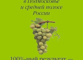 Виноград: Секреты выращивания винограда в средней полосе.