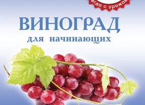 Удобрение и Подкормка винограда. Подготовка к цветению