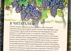 Выращивание винограда в Сибири перестало быть экзотикой. Теперь можно получить до 90-100 кг винограда и около 30 литров прекрасного вина.