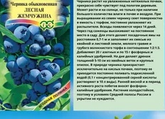 Почему виноград не вызревает в средней полосе — и какие сорта реально подходят для России