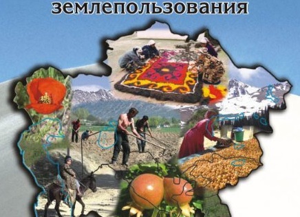 Выводы от опыта траншейного выращивания винограда