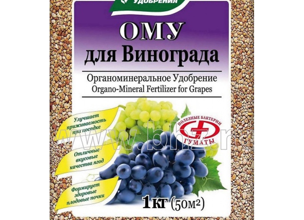 Удобрение винограда: какие удобрения лучше всего подходят для плодоношения и сроки подкормки
